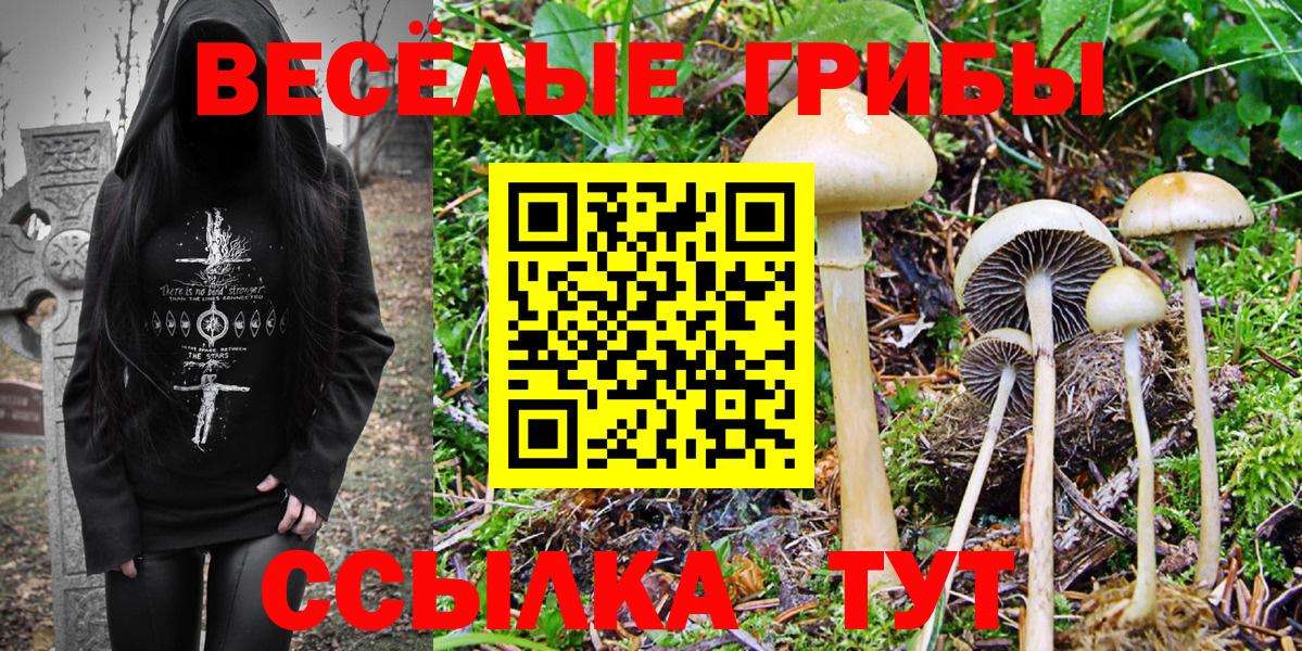 Галлюциногенные грибы мухоморы  Галлюциногенные грибы MAGIC MUSHROOMS  Чернушка  Вход с VPN 